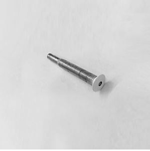 CONF.GETTINO 1 FORO AIRPOOL DIVINA.JPG